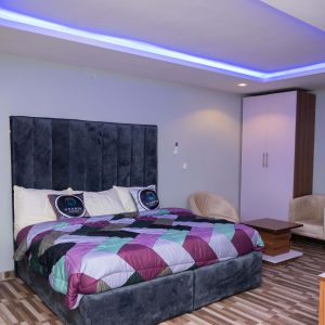 LUXURY ONE BEDROOM APARTMENT